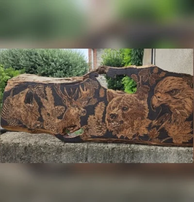 Pyrogravure animaux "Sauvages" - Pyro'art Louve de Lune