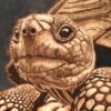 Tortue pyrogravure sur bois – tableau animalier artisanal Pyro’Art