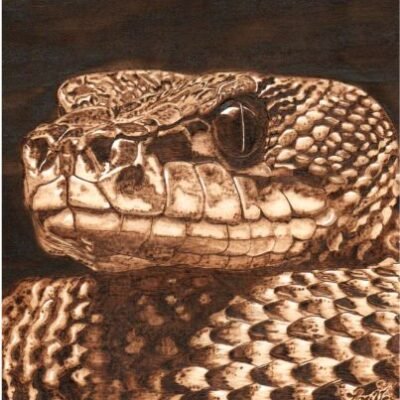 Serpent pyrogravure sur bois – art animalier artisanal Pyro’Art