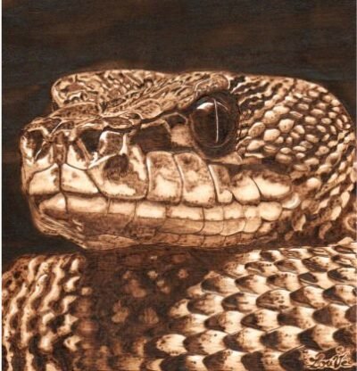 Serpent pyrogravure sur bois – art animalier artisanal Pyro’Art