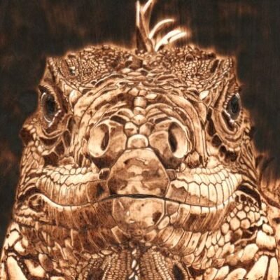 iguane pyrogravure sur bois – création artisanale Pyro’Art