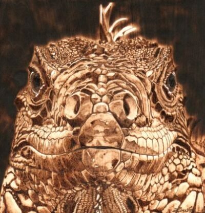 iguane pyrogravure sur bois – création artisanale Pyro’Art