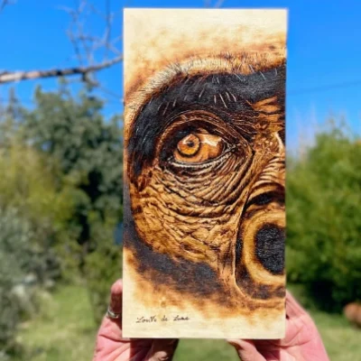 Tableau Gorille - Conscience fragile - Pyroart Louve de Lune