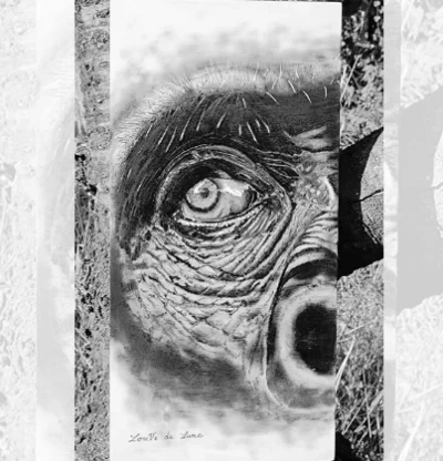 Tableau Gorille - Conscience fragile - Pyroart Louve de Lune