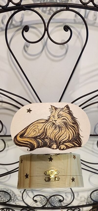 Boîte pyrogravée chat – coffret en bois avec motif félin et étoiles, création artisanale Pyro’Art.